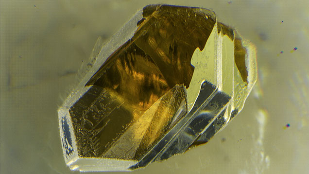 Photomicrograph showing olivine within labradorite Photomicrograph showing olivine within labradorite