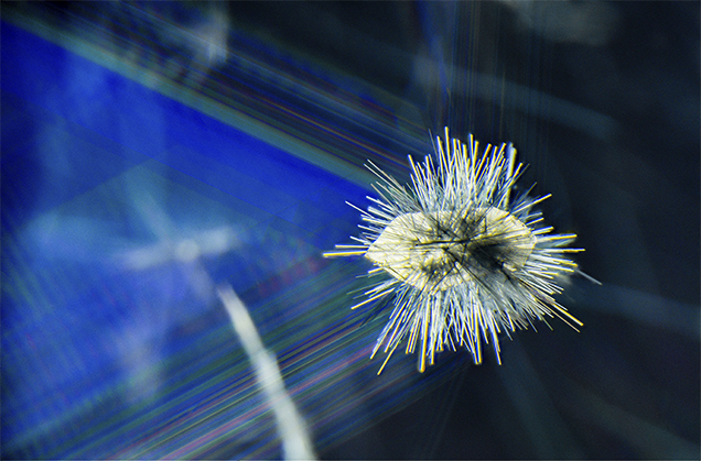 Core quartz crystal surrounded by blue needles.