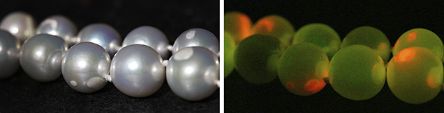 The white patches had reactions to X-ray fluorescence. The white patches had reactions to X-ray fluorescence.