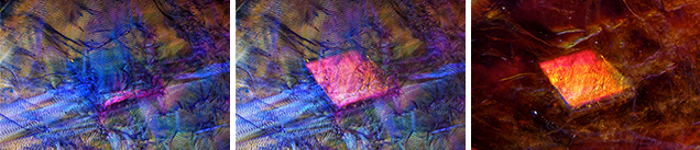 Iridescence in the host andradite and the andradite inclusion Iridescence in the host andradite and the andradite inclusion
