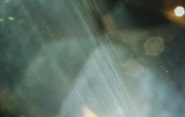 Zambian Citrine photomicrograph Zambian Citrine photomicrograph