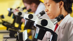Researcher with Microscope Researcher with Microscope