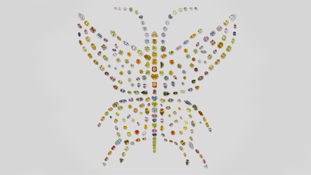 Aurora Butterfly of Peace Aurora Butterfly of Peace