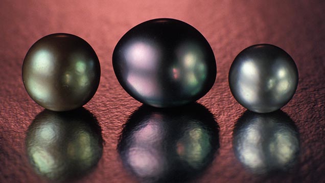 Natural Pearls from French Polynesia Natural Pearls from French Polynesia
