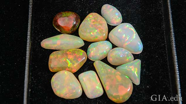 A dozen pieces of polished opal. A dozen pieces of polished opal.