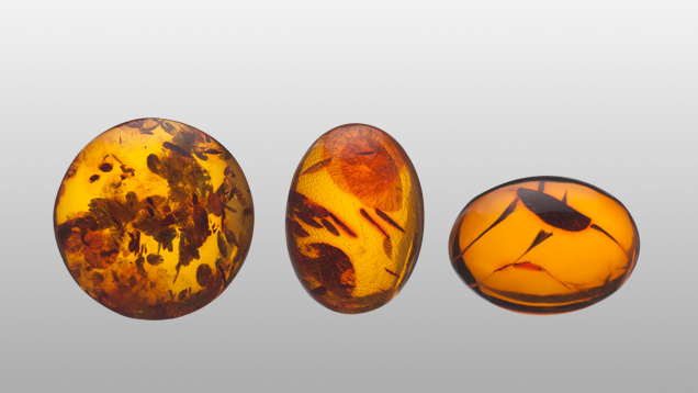 Heat treated amber Heat treated amber