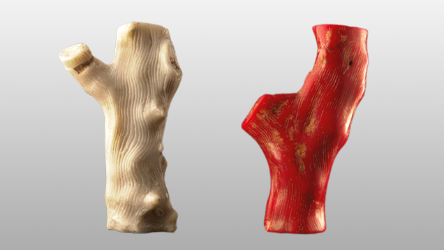 Bleached and Dyed Coral 146769 636x358 Bleached and Dyed Coral 146769 636x358