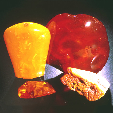 Amber in a Variety of Colors Amber in a Variety of Colors
