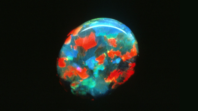 Black Opal with a Harlequin Pattern