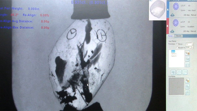 When the stone is immersed in liquid in the Sarin Galaxy 1000, the rough appears white and the inclusions black.