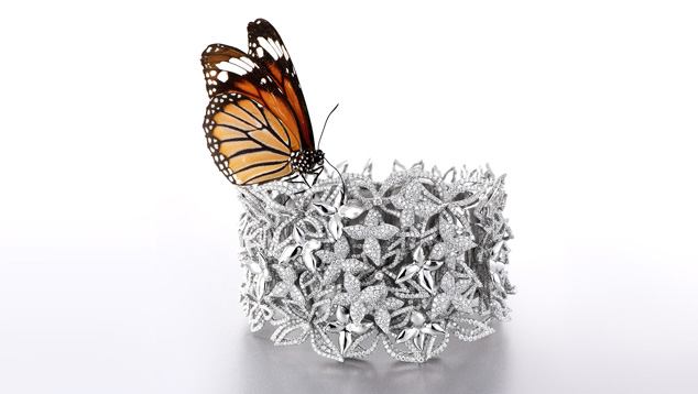 Zbird, one of China's top retailers of diamond and wedding jewelry Zbird, one of China's top retailers of diamond and wedding jewelry
