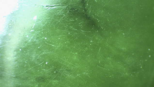 Figure 5. Surface scratches are visible on this coated jadeite. Photomicrograph by Jian Zhang; magnified 20×. Figure 5. Surface scratches are visible on this coated jadeite. Photomicrograph by Jian Zhang; magnified 20×.