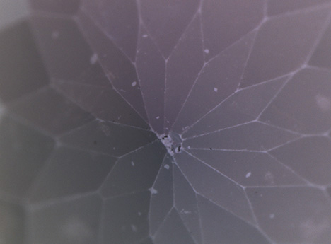 Chipped and worn coating Chipped and worn coating