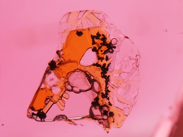 Spinel multiphase inclusion Spinel multiphase inclusion