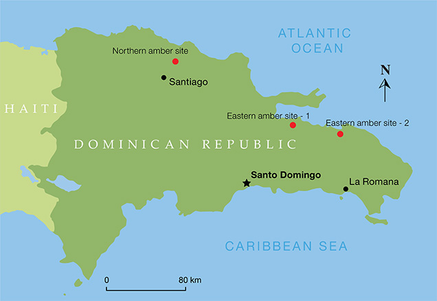 Map of the Dominican amber mines