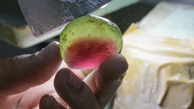 Bicolor Tourmaline Bicolor Tourmaline