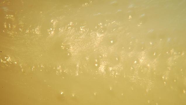 169487_636x358v2.jpg. Surface of Tridacna Pearl