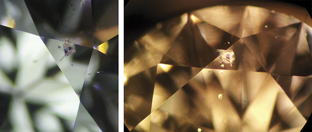 169493_636x271.jpg. Garnet Crystal Inclusion Photomicrograph