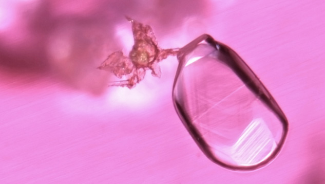 Amphibole and Mica