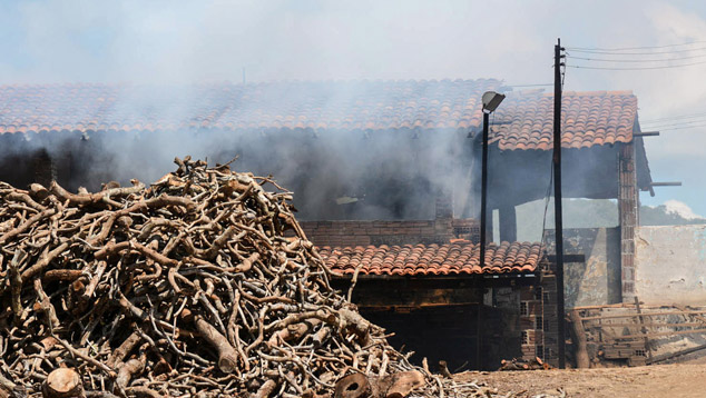 Ceramic Tile Factory, Rio Grande do Norte, Brazil