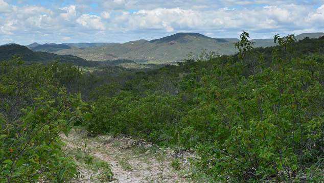 Pedra Bonita Spessartine Garnet Mine