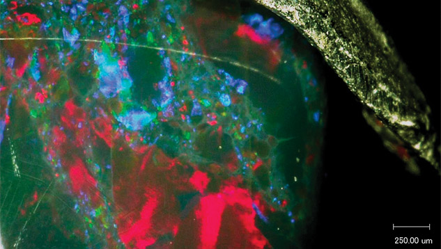 Microscopic image of Ethiopian black opal Microscopic image of Ethiopian black opal