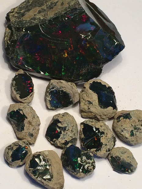 Pieces of black opal from Stayish mine Pieces of black opal from Stayish mine