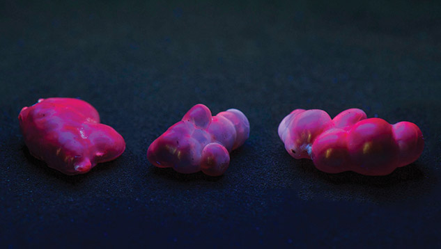 Red fluorescence under long-wave UV in pearls Red fluorescence under long-wave UV in pearls