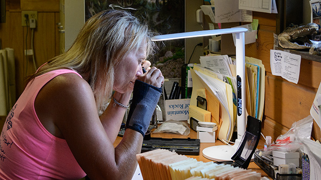 Woman examining gemstones Woman examining gemstones