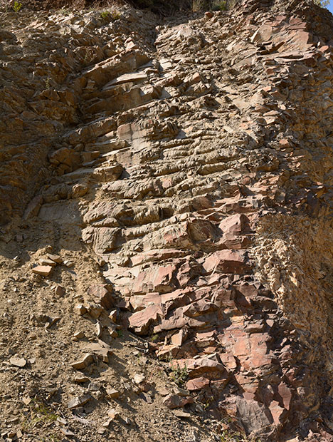 Rock outcrop