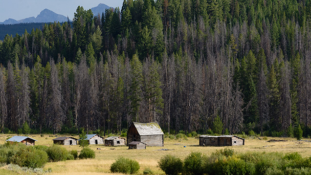 Cabins in a meadow