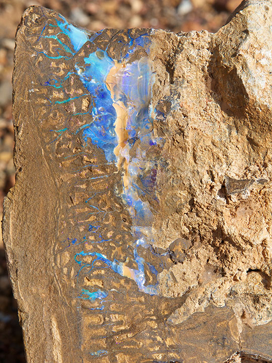 201578-540x720.jpg. 从整体上来说，Quilpie（奎尔派）和 Alaric（阿拉里克）的砾岩比我们见到的其他产地的砾岩大。 这一块是在 Alaric（阿拉里克）发现的。 如果砾岩内所含的蛋白石太薄、呈现很多裂纹或分布过于零散，矿工们通常不会对其进行打磨。 摄影：Andrew Lucas（安德鲁·卢卡斯）/GIA。