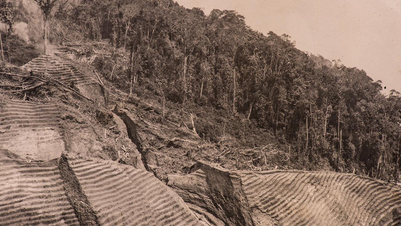 203769-1280x720.jpg