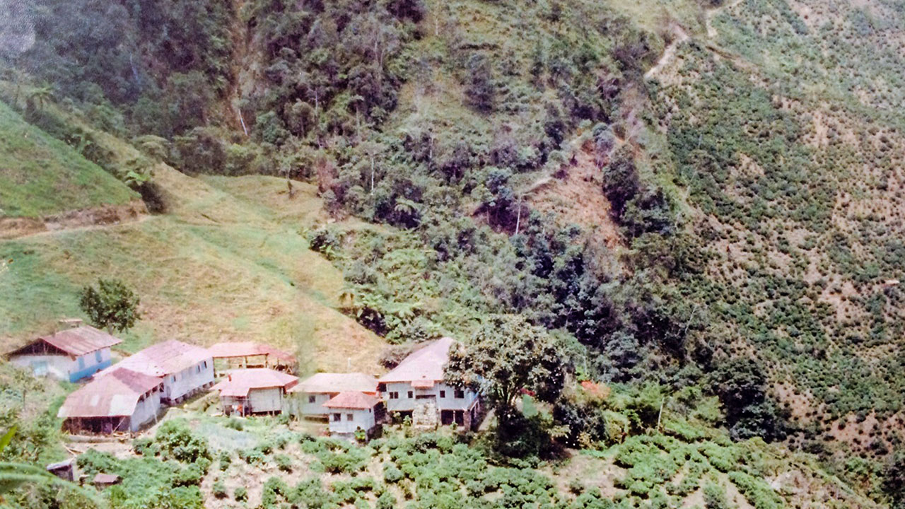 203777-1280x720.jpg