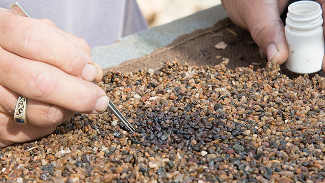 Hands sorting material and picking stones