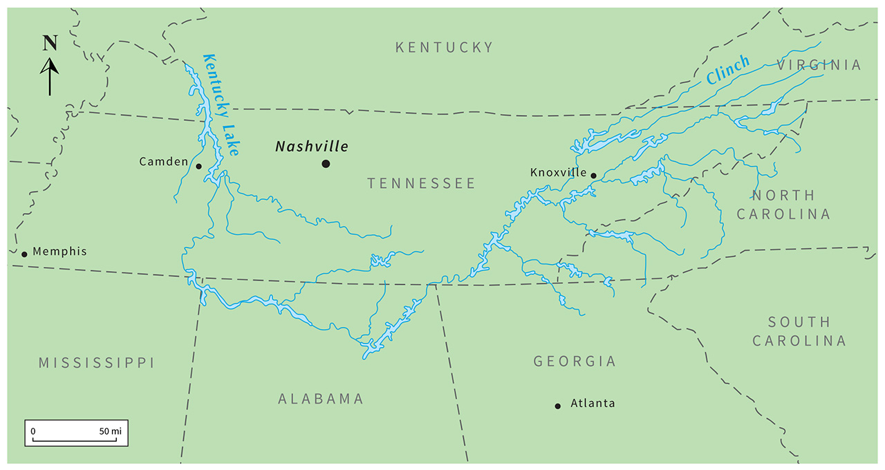 206701-1280x620.jpg