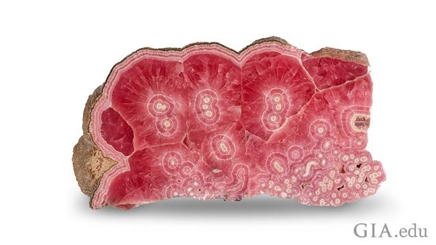 Polished slab with rich red color and white cores from the Capillitas Mine in Catamarca, Argentina. Measures 30 x 11.5 x 2 cm. Gift of the Hauser Family. In Memory of Joel & Barbara Hauser. Photo by Orasa Weldon/GIA Polished slab with rich red color and white cores from the Capillitas Mine in Catamarca, Argentina. Measures 30 x 11.5 x 2 cm. Gift of the Hauser Family. In Memory of Joel & Barbara Hauser. Photo by Orasa Weldon/GIA