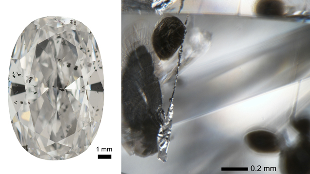 Figure 2: Polished CLIPPIR diamond (left) containing metallic inclusions. The metallic inclusions (right) are silvery in appearance and have black graphitic cracks extending from them. Figure 2: Polished CLIPPIR diamond (left) containing metallic inclusions. The metallic inclusions (right) are silvery in appearance and have black graphitic cracks extending from them.