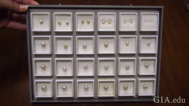 29 pearls in a display case