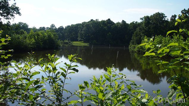 View of a small lake