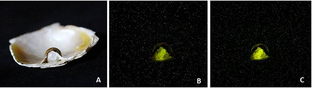 X-ray fluorescence