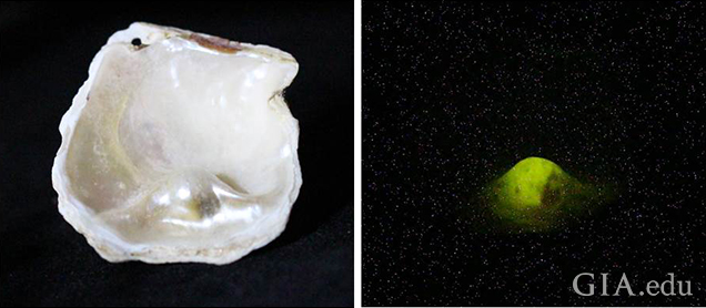 X-ray fluorescence