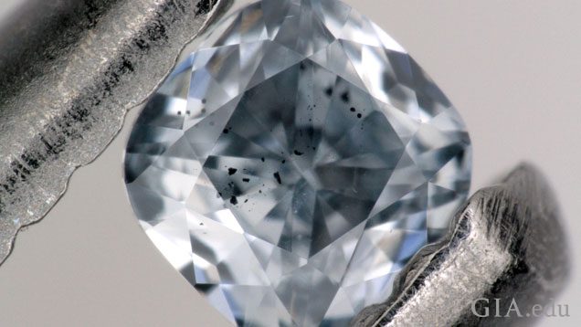 A blue diamond with inclusions under the table is held up in tweezers. A blue diamond with inclusions under the table is held up in tweezers.
