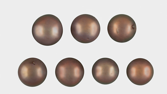 Bleached Pearls Bleached Pearls