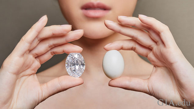 A model holds the diamond in one hand and a pigeon egg in the other. A model holds the diamond in one hand and a pigeon egg in the other.