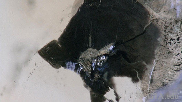 A Silver-grey sulphide inclusion in a diamond. A Silver-grey sulphide inclusion in a diamond.