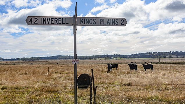 Traffic sign pointing to Kings Plains and the town of Inverell Traffic sign pointing to Kings Plains and the town of Inverell