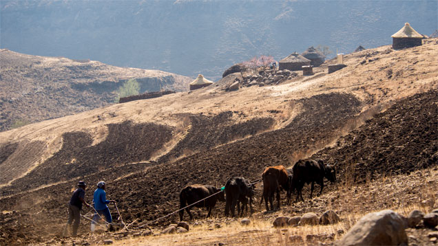 Lesotho Maluti Mountains Lesotho Maluti Mountains