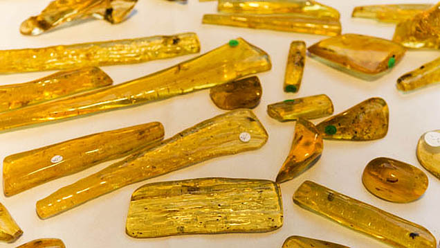 Copal Copal