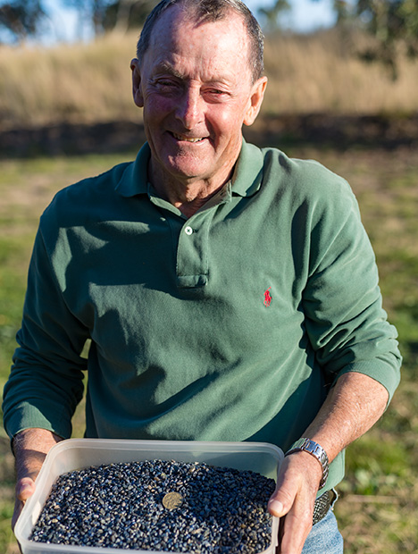Man holding a box of sapphires Man holding a box of sapphires